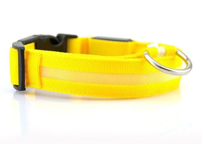 Hunde LED Halsband