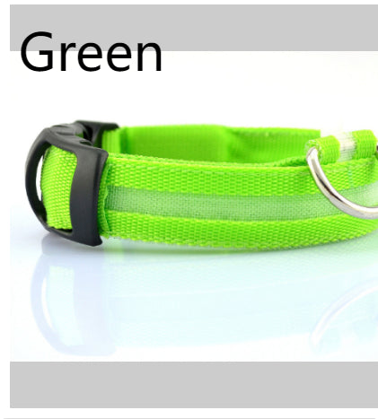 Hunde LED Halsband