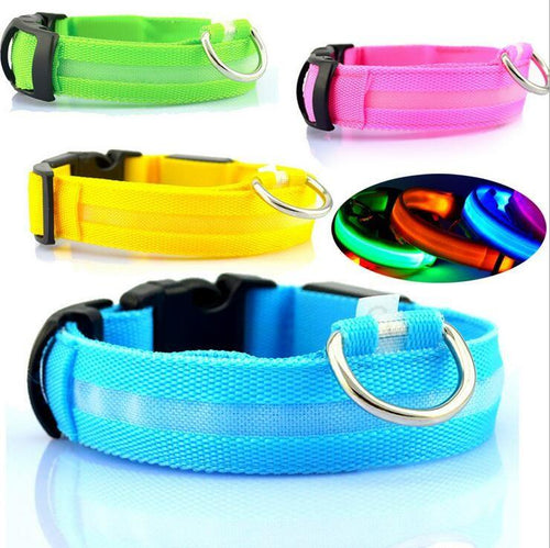 Hunde LED Halsband