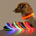 Hunde LED Halsband